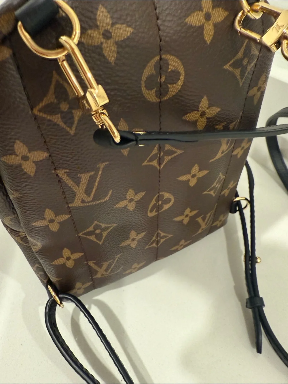Louis Vuitton Palm Springs Mini Backpack
